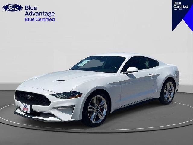 Certified 2021 Ford Mustang Premium w/ Equipment Group 201A RWD image 1