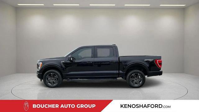 Certified 2023 Ford F150 XLT w/ Equipment Group 302A High image 2