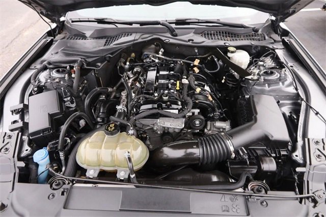 Certified 2022 Ford Mustang Premium image 23