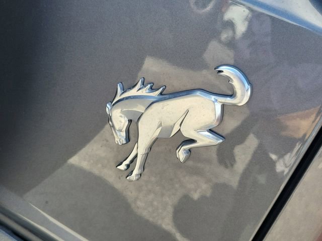 Certified 2023 Ford Bronco Everglades image 5