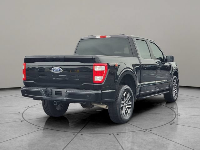 Certified 2023 Ford F150 XL w/ STX Appearance Package AWD/4WD image 12