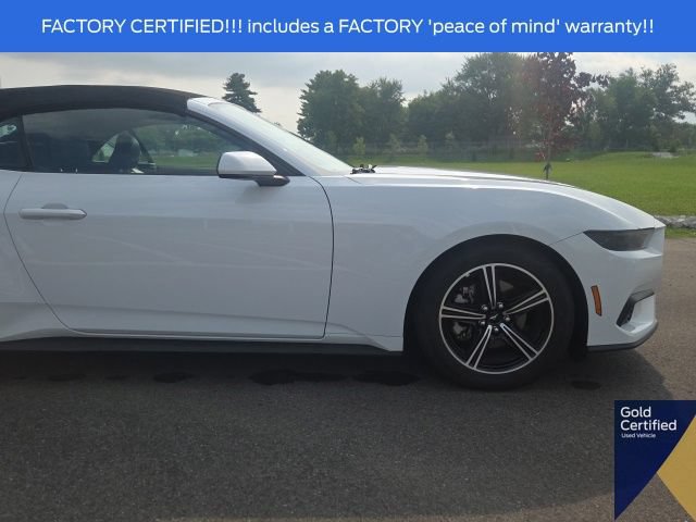 Certified 2025 Ford Mustang Premium RWD image 8
