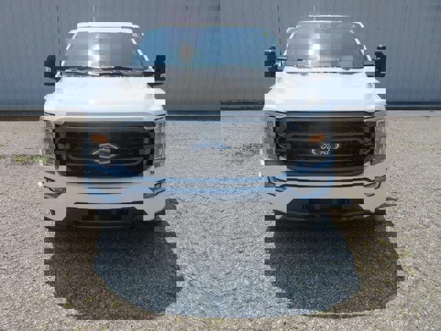 Certified 2023 Ford F150 XLT w/ Equipment Group 302A High image 8