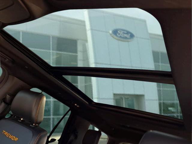 Certified 2025 Ford Expedition Tremor AWD/4WD image 7