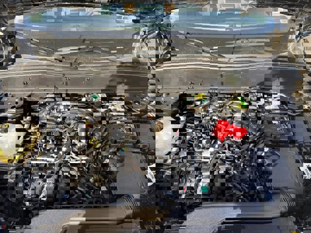 Certified 2024 Ford Bronco Sport Badlands w/ Premium Package image 21