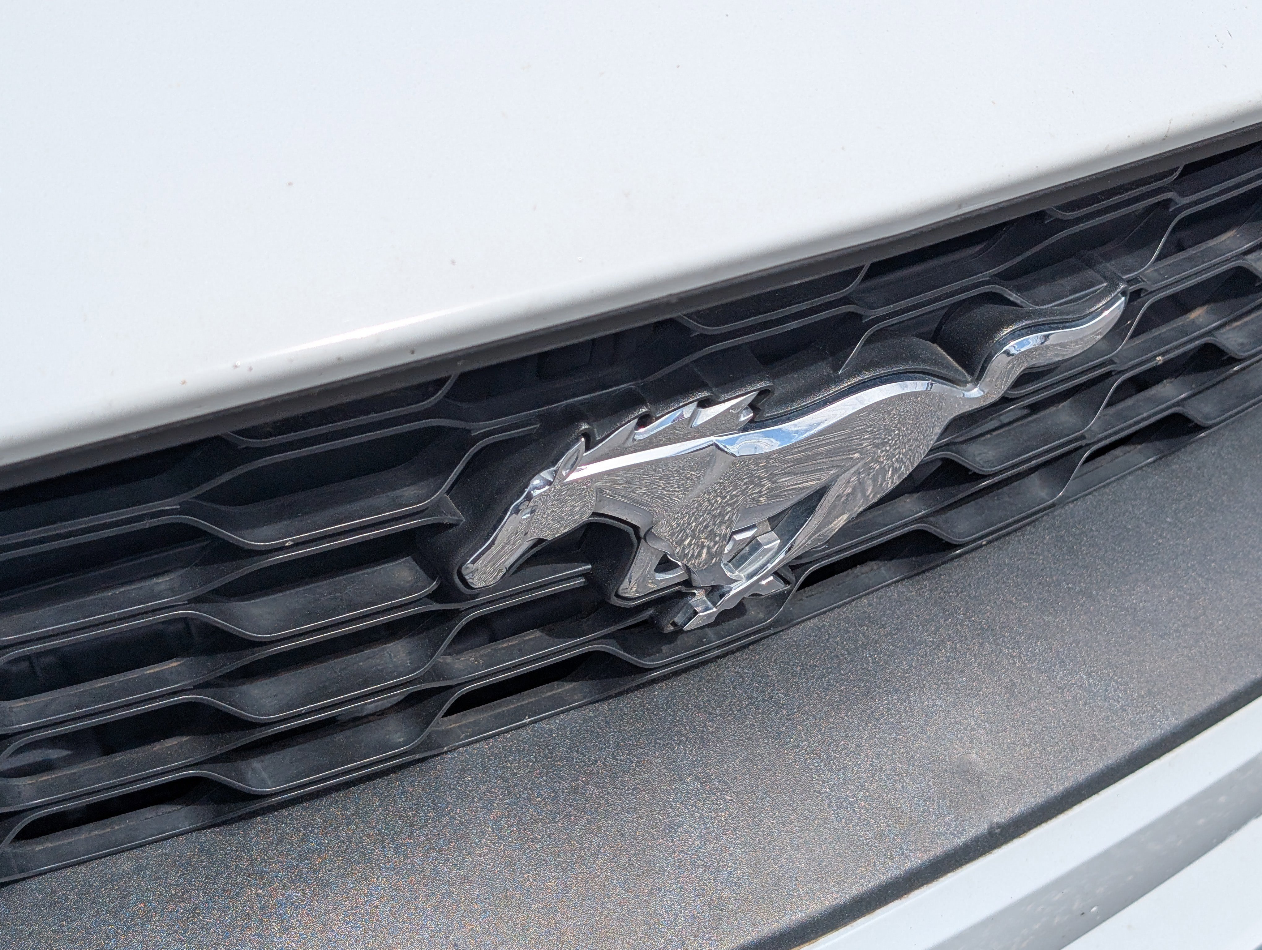 Certified 2021 Ford Mustang Premium image 11