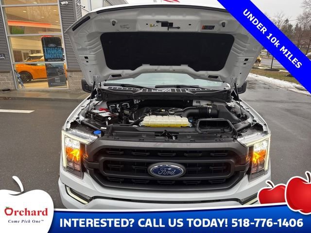 Certified 2023 Ford F150 XLT w/ Equipment Group 302A High image 17