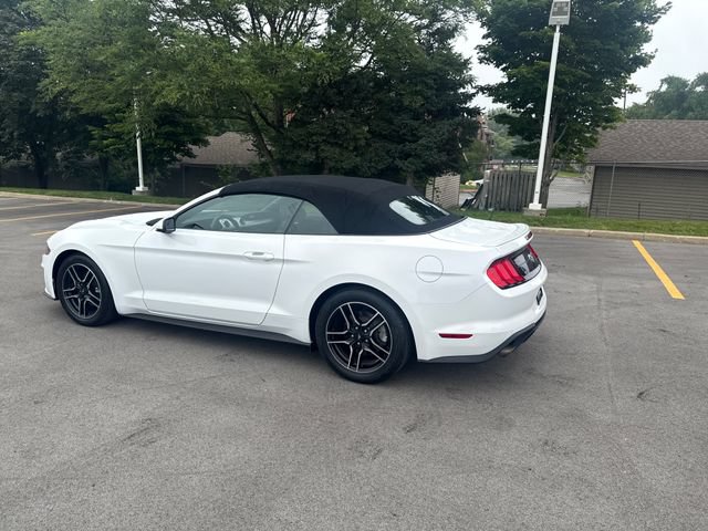 Certified 2018 Ford Mustang Premium RWD image 3