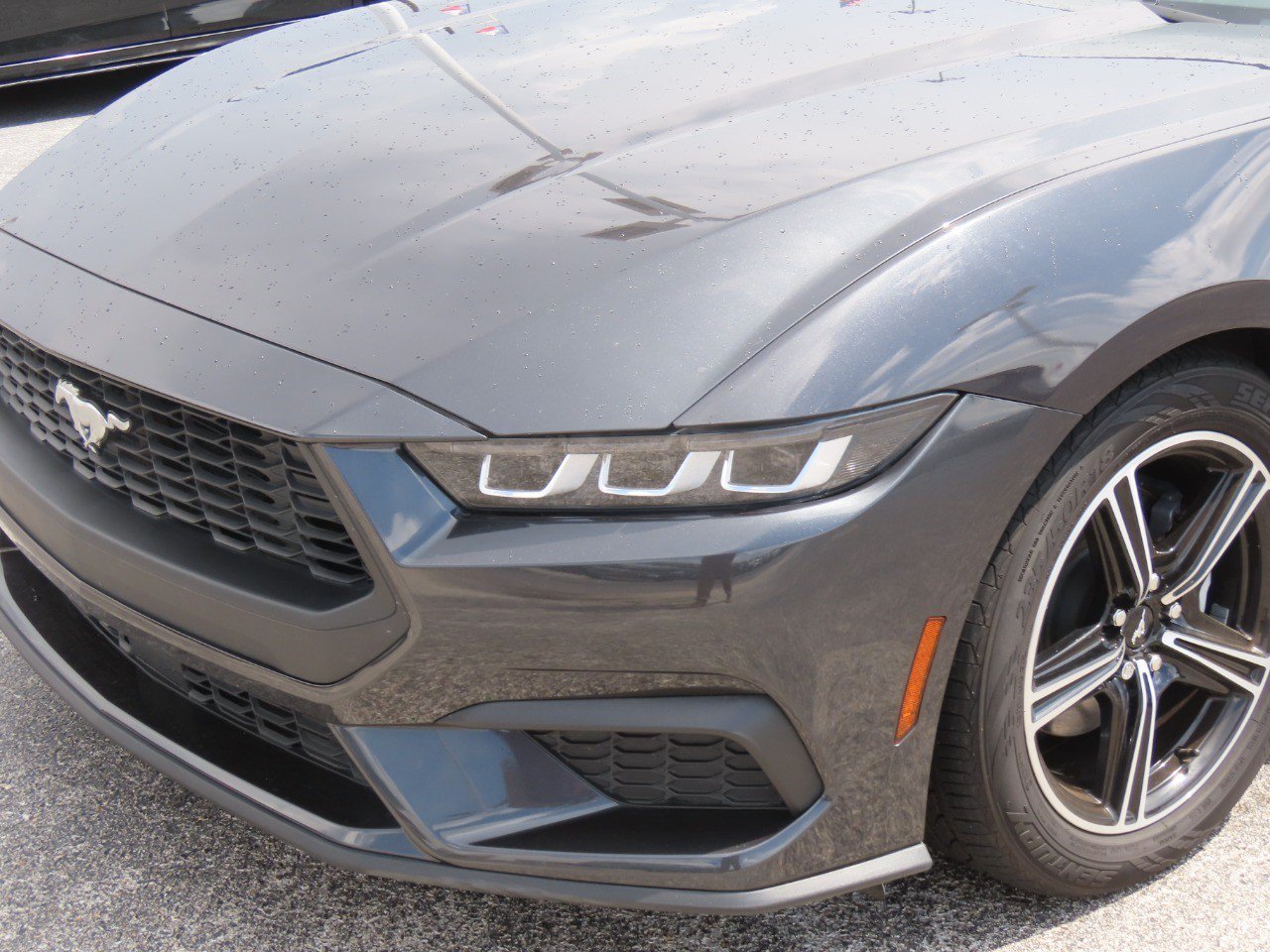 Certified 2024 Ford Mustang Premium RWD image 3