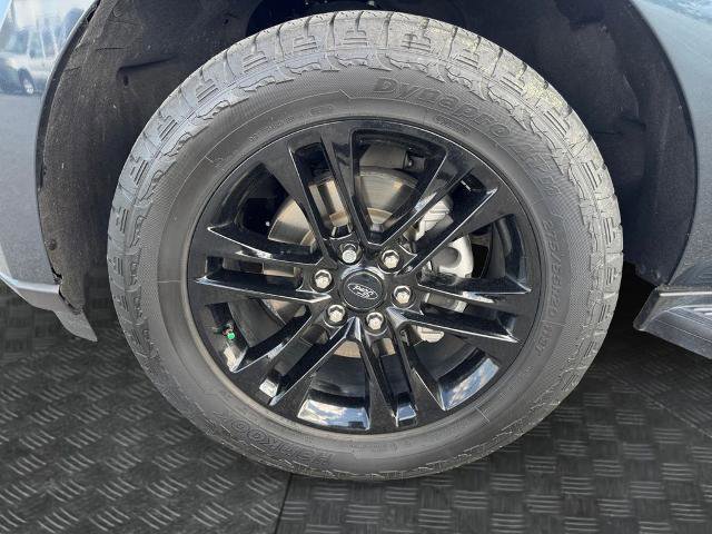 Certified 2024 Ford Expedition XLT image 14