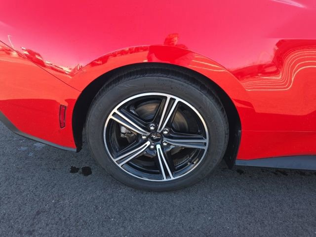 Certified 2024 Ford Mustang Premium image 10