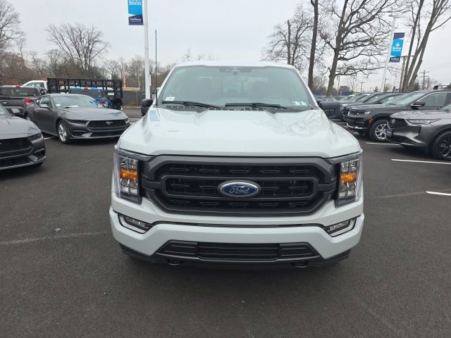 Certified 2023 Ford F150 XLT w/ Equipment Group 302A High image 8