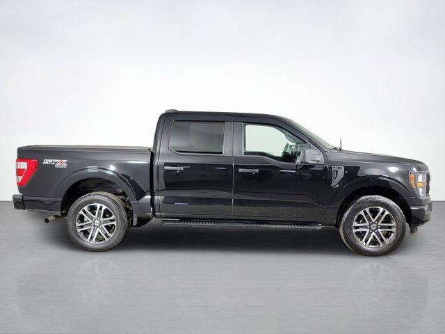 Certified 2023 Ford F150 XL w/ STX Appearance Package image 6