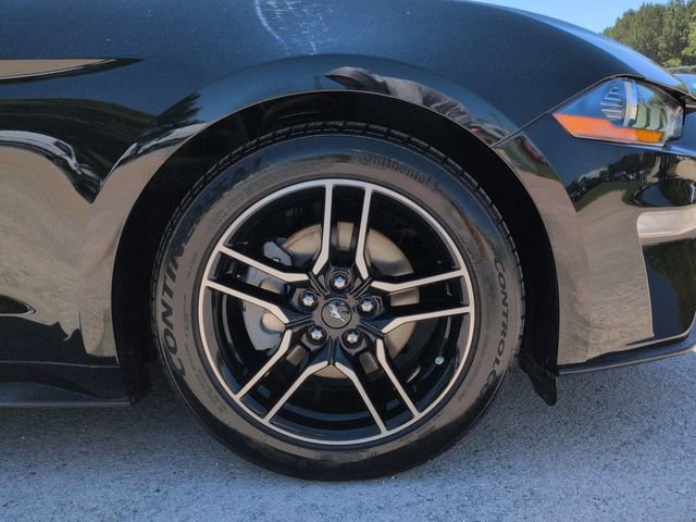 Certified 2019 Ford Mustang Coupe w/ Equipment Group 101A RWD image 12