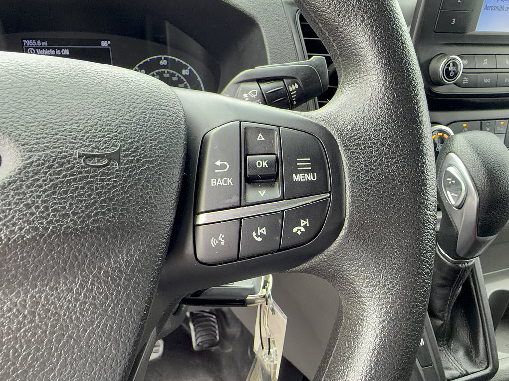Certified 2025 Ford Transit 250 Low Roof w/ Exterior Upgrade Package RWD image 25
