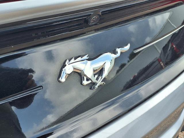 Certified 2023 Ford Mustang Premium RWD image 10