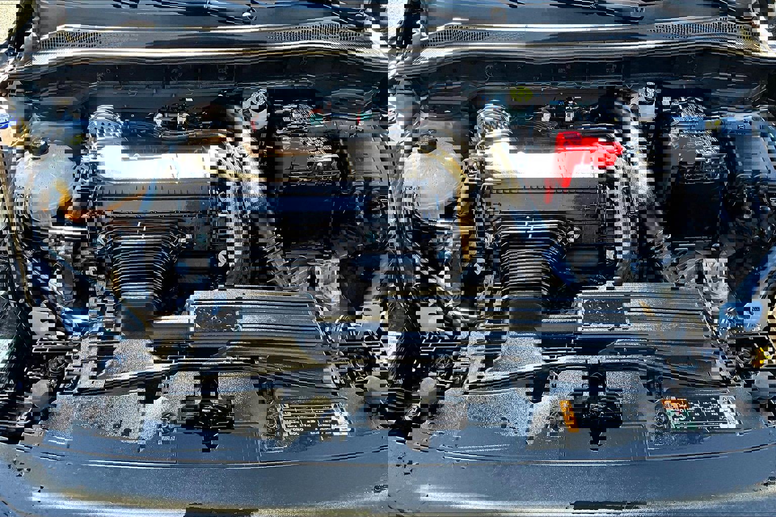 Certified 2025 Ford Escape ST-Line Elite image 12