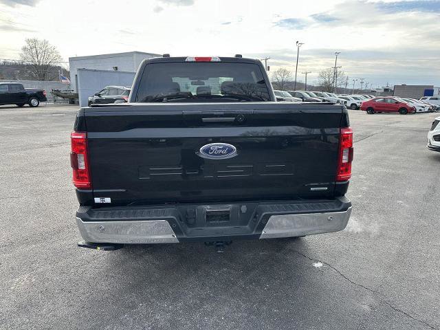 Certified 2023 Ford F150 XLT w/ Equipment Group 302A High image 3
