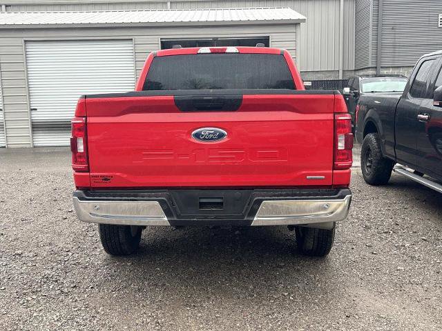 Certified 2023 Ford F150 XLT image 5