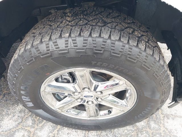 Certified 2025 Ford F150 XLT w/ Equipment Group 301A Standard image 11