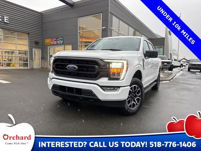 Certified 2023 Ford F150 XLT w/ Equipment Group 302A High