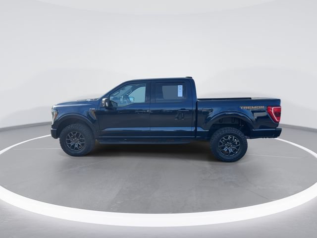 Certified 2023 Ford F150 Tremor AWD/4WD image 6