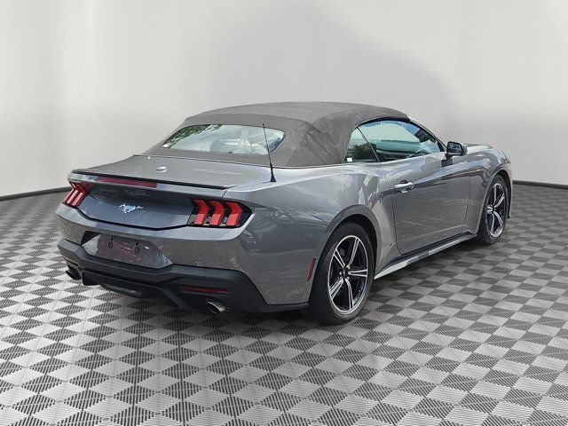 Certified 2024 Ford Mustang Premium RWD image 6