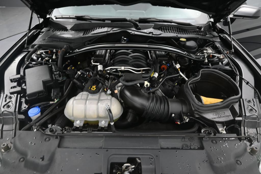 Certified 2021 Ford Mustang GT w/ Enhanced Security Package RWD image 15