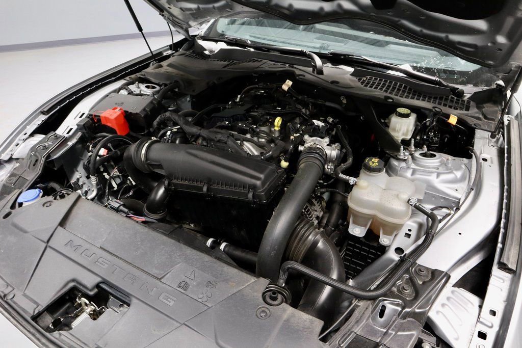 Certified 2024 Ford Mustang Premium image 16