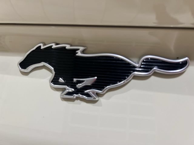 Certified 2025 Ford Mustang Mach-E Premium RWD image 29
