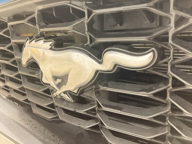 Certified 2024 Ford Mustang Coupe RWD image 29