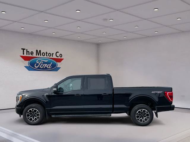 Certified 2023 Ford F150 XLT w/ Equipment Group 302A High AWD/4WD image 8