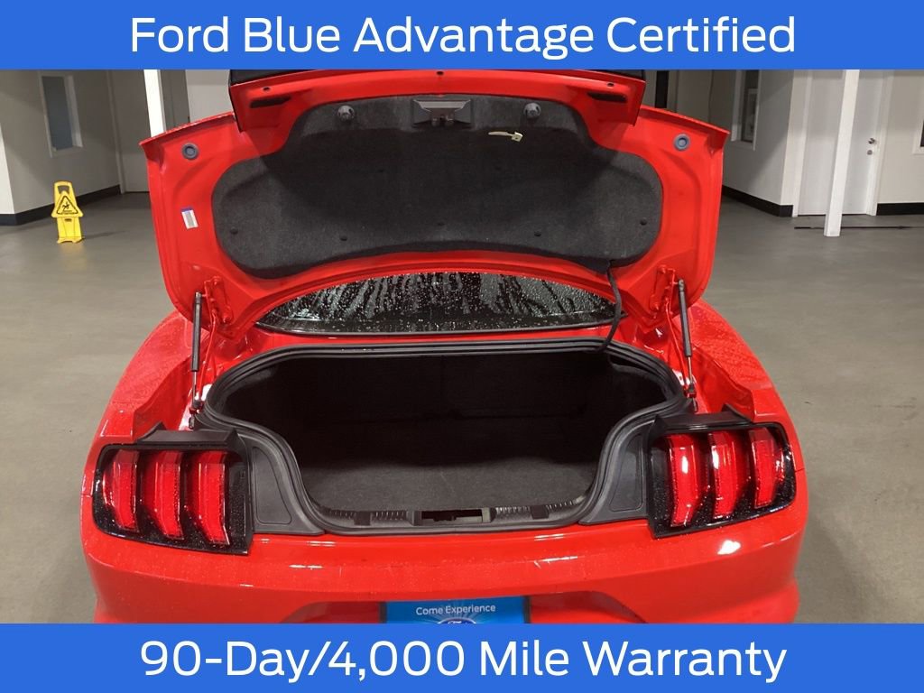 Certified 2022 Ford Mustang Coupe w/ Equipment Group 101A image 6