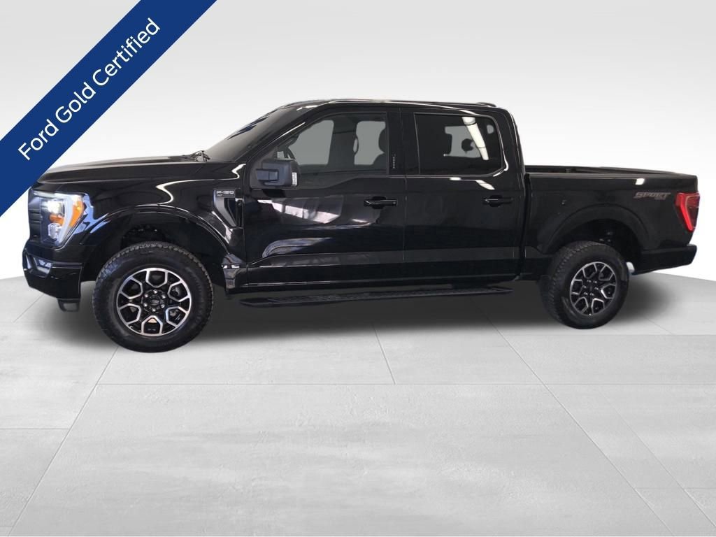 Certified 2023 Ford F150 XLT w/ Equipment Group 302A High image 2