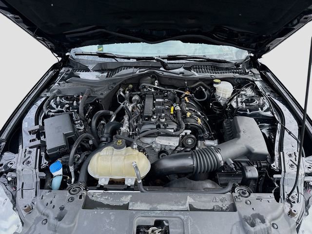 Certified 2023 Ford Mustang Coupe w/ Equipment Group 101A image 29