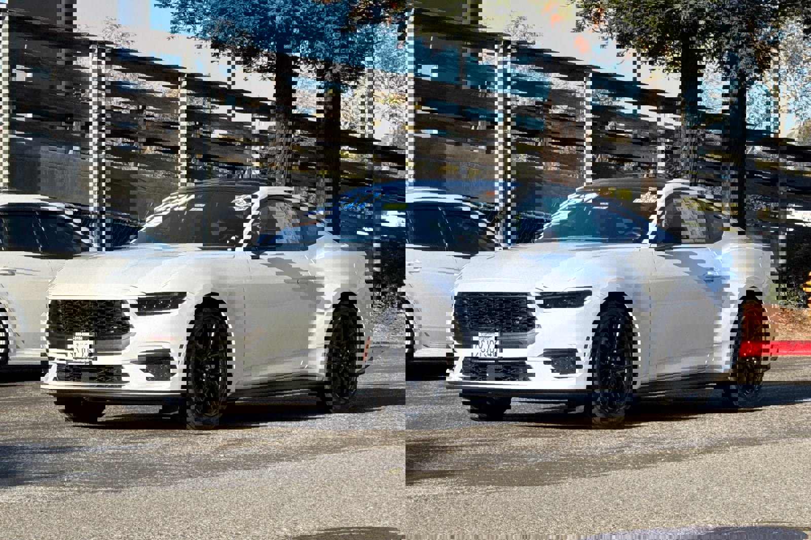 Certified 2025 Ford Mustang Coupe image 8