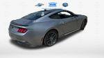 Certified 2026 Ford Mustang Coupe w/ Mustang Nite Pony Package RWD image 8