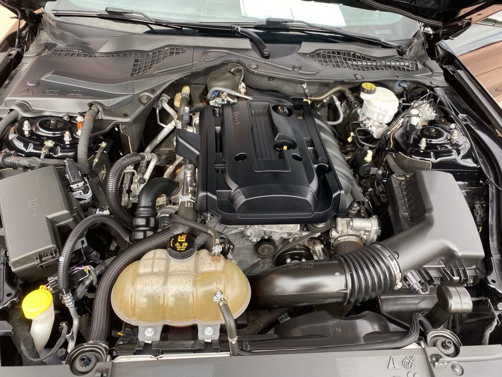 Certified 2019 Ford Mustang Coupe image 29