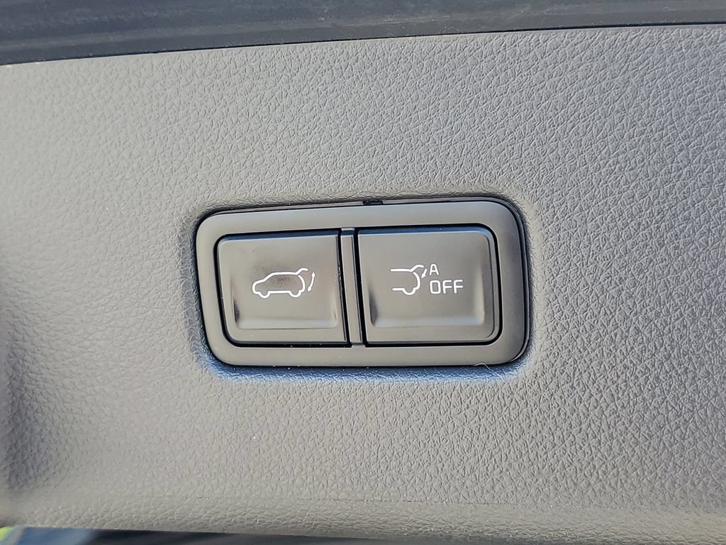 Used 2024 Kia Carnival EX FWD image 9