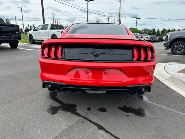 Certified 2019 Ford Mustang Coupe w/ Equipment Group 101A RWD image 3