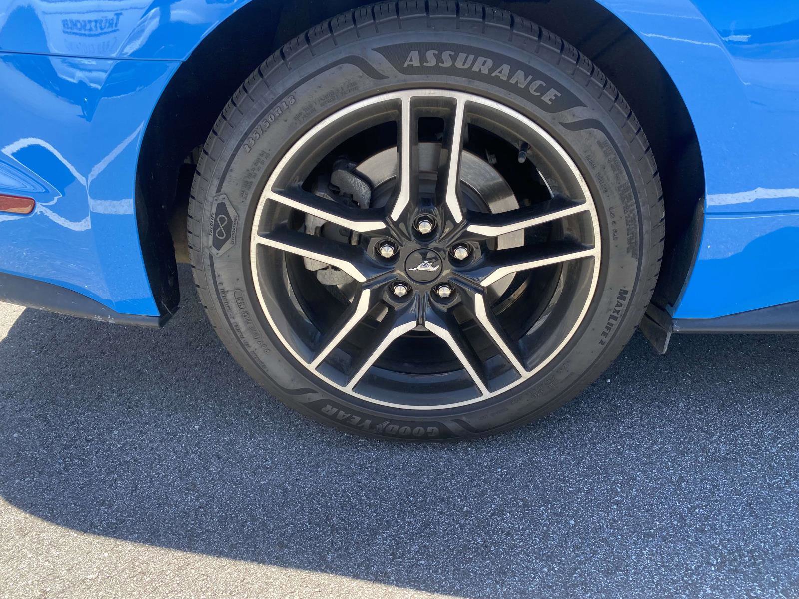 Certified 2022 Ford Mustang Premium RWD image 9