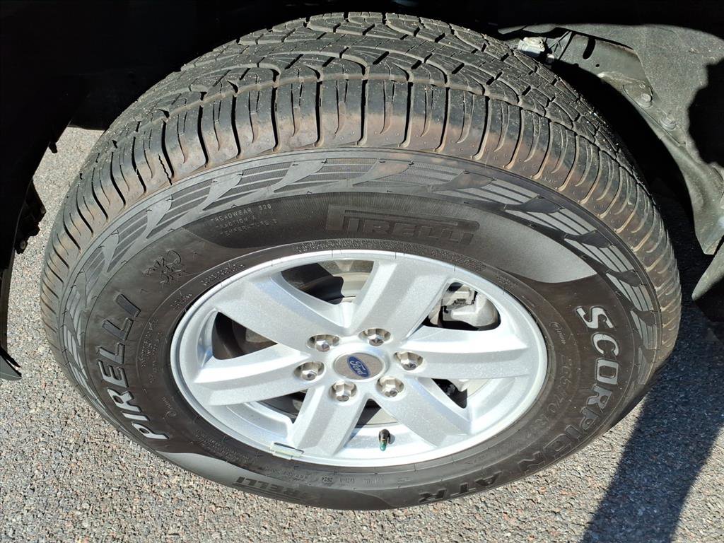 Certified 2024 Ford F150 XL w/ Equipment Group 103A High AWD/4WD image 4