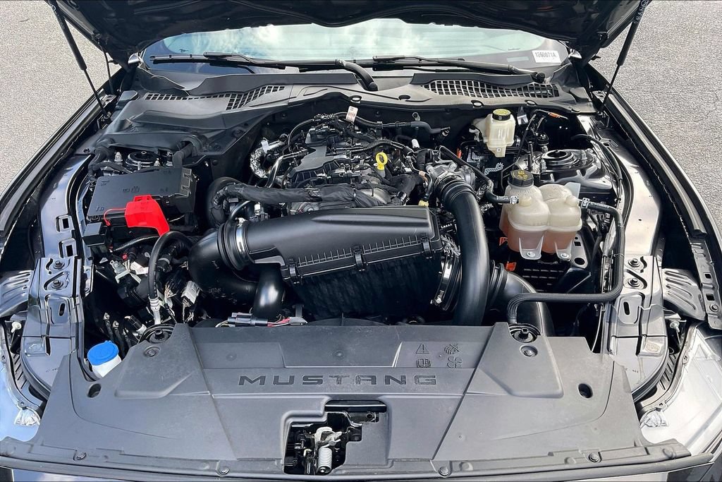 Certified 2024 Ford Mustang Premium RWD image 10