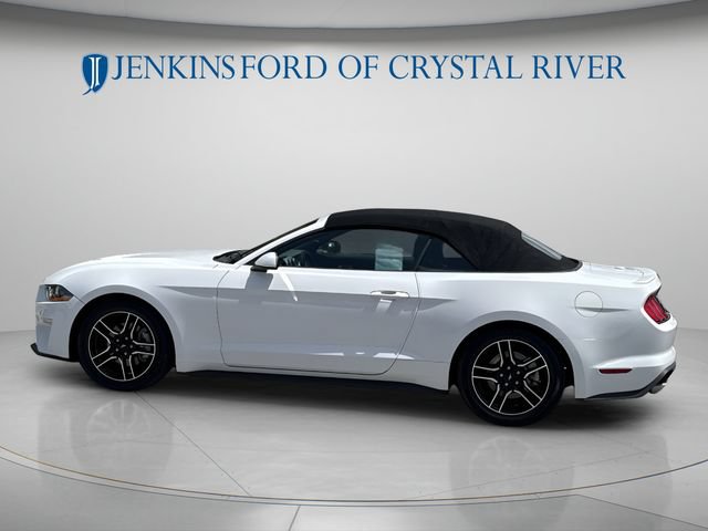 Certified 2022 Ford Mustang Premium RWD image 13