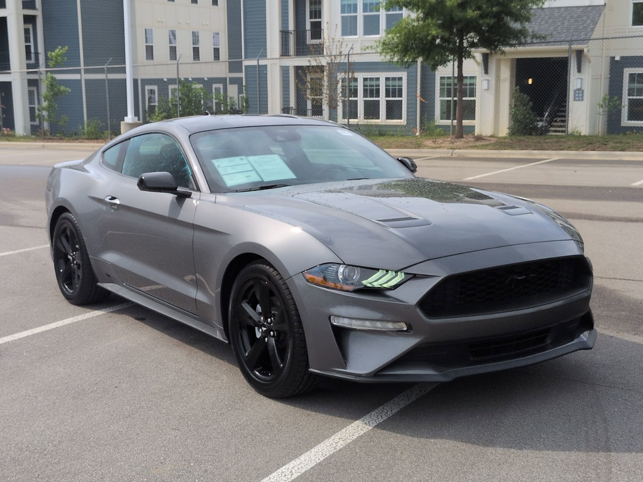 Certified 2023 Ford Mustang Coupe w/ Equipment Group 101A RWD image 2