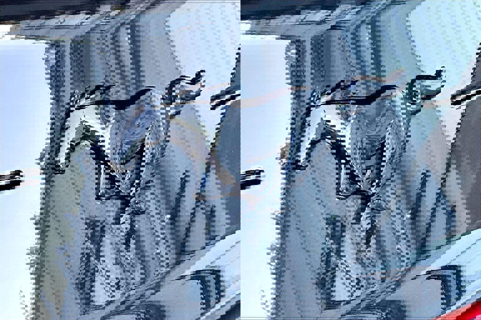 Certified 2021 Ford Mustang Coupe w/ Equipment Group 101A image 29