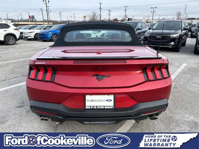 Certified 2024 Ford Mustang Premium image 5