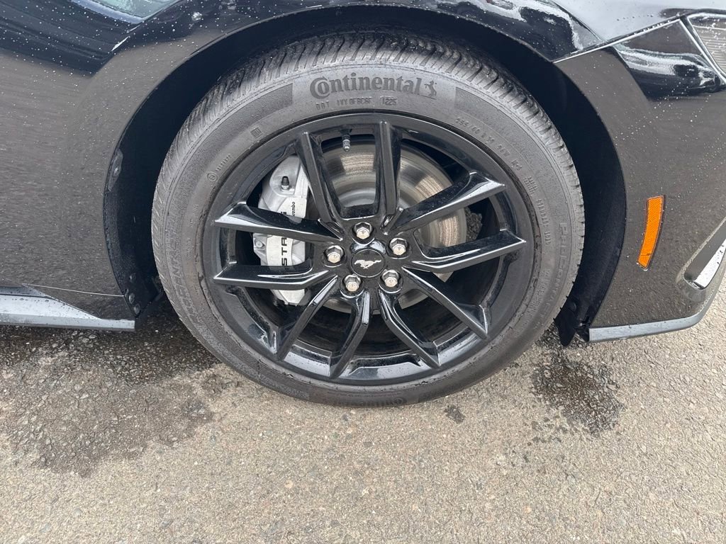 Certified 2025 Ford Mustang GT Premium image 11