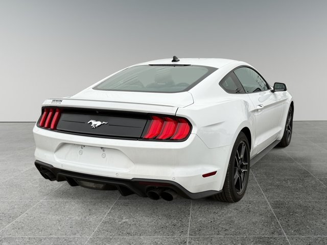 Certified 2021 Ford Mustang Premium w/ Ford Safe & Smart Package RWD image 6
