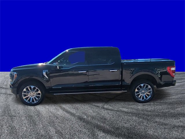 Certified 2023 Ford F150 Limited image 2